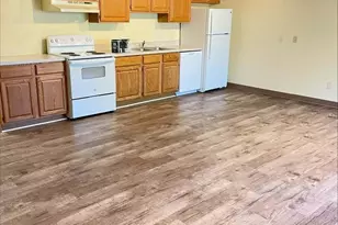 116 W McKay St, Saline, MI 48176 - Photo 5