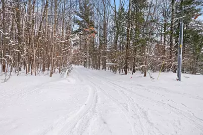 18.9 Acres S 176th Avenue, Hesperia, MI 49421 - Photo 3