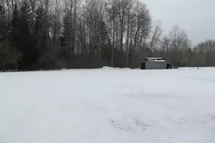 4464 S Wilson Rd, Merritt, MI 49667 - Photo 35