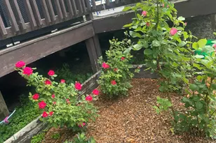 1657 Jordan Lake Ave, Lake Odessa, MI 48849 - Photo 43