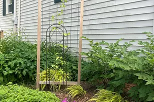 1657 Jordan Lake Ave, Lake Odessa, MI 48849 - Photo 45