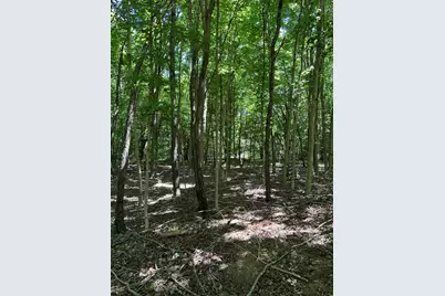 Lot 2 Christopher Lane, South Haven, MI 49090 - Photo 1