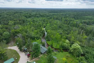 1853 W Old M-63, Luther, MI 49656 - Photo 1