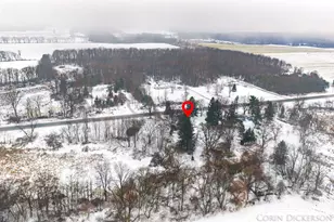 5306 W Carson City Rd, Greenville, MI 48838 - Photo 59