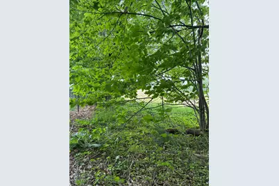 V/L Scottdale Road, Berrien Springs, MI 49103 - Photo 27