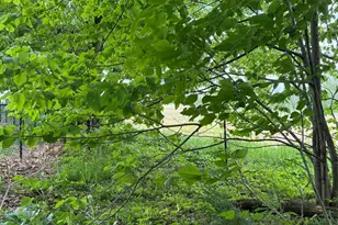 V/L Scottdale Rd, Berrien Springs, MI 49103 - Photo 27