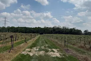 V/L Scottdale Rd, Berrien Springs, MI 49103 - Photo 11