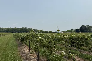 V/L Scottdale Rd, Berrien Springs, MI 49103 - Photo 43