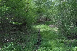 V/L Scottdale Rd, Berrien Springs, MI 49103 - Photo 29