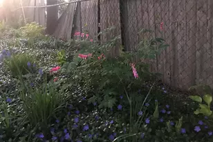 1261 Pageant Ave, Ypsilanti, MI 48198 - Photo 53