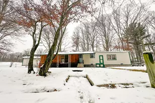 8933 E M 20, Hesperia, MI 49421 - Photo 3