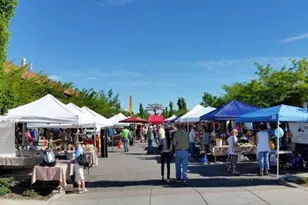 6602 East E Avenue, Richland, MI 49083 - Photo 53