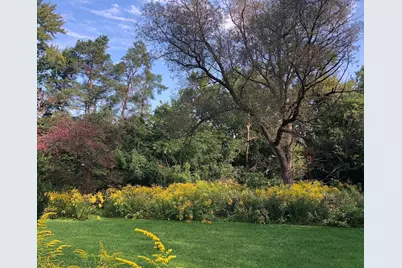 3155 La Salle Drive, Ann Arbor, MI 48108 - Photo 5