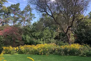 3155 La Salle Dr, Ann Arbor, MI 48108 - Photo 5