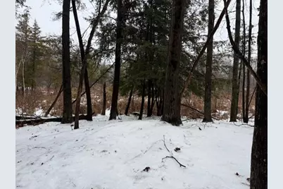 V/L 7 Mile Road, Stanwood, MI 49346 - Photo 3