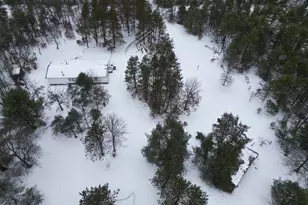 4901 Brunswick Rd, Holton, MI 49425 - Photo 29