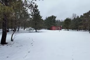 4901 Brunswick Rd, Holton, MI 49425 - Photo 11