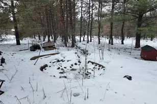 4901 Brunswick Rd, Holton, MI 49425 - Photo 9