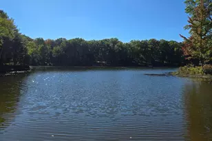 4221 Mockingbird Cir, Farwell, MI 48622 - Photo 45