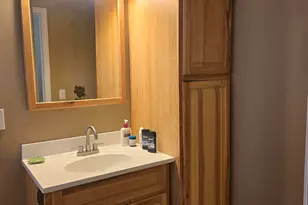 4221 Mockingbird Cir, Farwell, MI 48622 - Photo 15