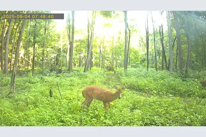 20 Ac Vl Sears Road, Horton, MI 49246 - Photo 5