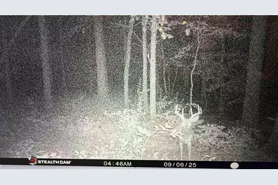 20 Ac Vl Sears Road, Horton, MI 49246 - Photo 7