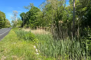 19499 Kluver Rd, New Buffalo, MI 49117 - Photo 3