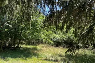 Lot 1 Christopher Ln, South Haven, MI 49090 - Photo 1