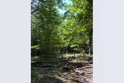 Lot 1 Christopher Lane, South Haven, MI 49090 - Photo 3