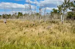 Lot 17 W Fairway St, Onekama, MI 49675 - Photo 1