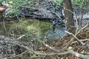 14417 Pinewood Dr, New Buffalo, MI 49117 - Photo 13