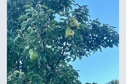 210 S Jackson Road, Ludington, MI 49431 - Photo 25