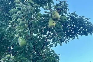 210 S Jackson Rd, Ludington, MI 49431 - Photo 25