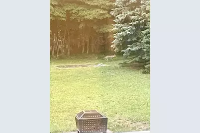 210 S Jackson Road, Ludington, MI 49431 - Photo 31