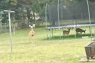 210 S Jackson Rd, Ludington, MI 49431 - Photo 29