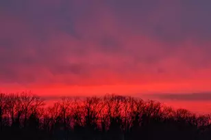 857 Pinnacle Run Dr SE, Grand Rapids, MI 49546 - Photo 53