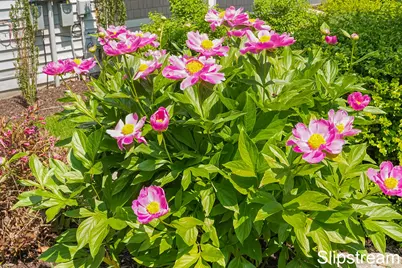 857 Pinnacle Run Drive SE, Grand Rapids, MI 49546 - Photo 47