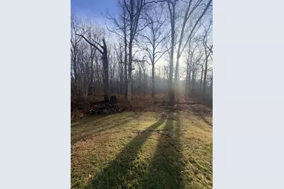 45867 Wear Road, Belleville, MI 48111 - Photo 35