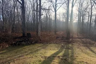 45867 Wear Rd, Belleville, MI 48111 - Photo 35