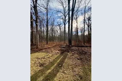 45867 Wear Road, Belleville, MI 48111 - Photo 19