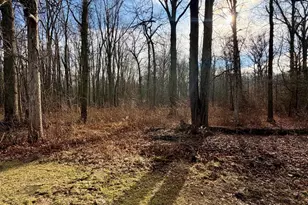 45867 Wear Rd, Belleville, MI 48111 - Photo 19