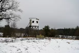 8492 Gibson Ave, Lake, MI 48632 - Photo 25