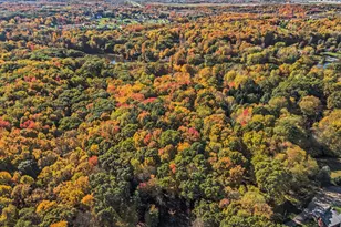 7540 Alaska Ridge SE, Alto, MI 49302 - Photo 41