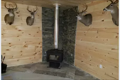 7423 S Nelson Road, Chase, MI 49623 - Photo 17