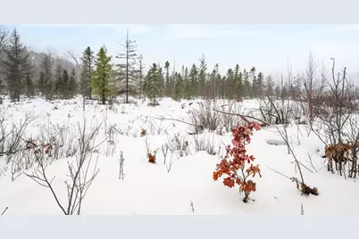 16107 12 Mile Road, Leroy, MI 49655 - Photo 35