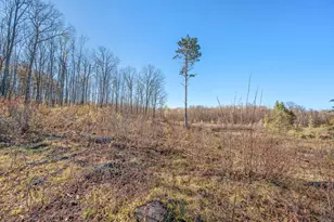 16107 12 Mile Rd, Leroy, MI 49655 - Photo 25