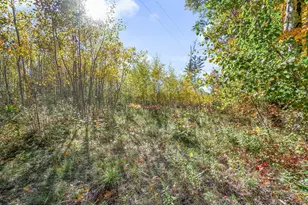 16107 12 Mile Rd, Leroy, MI 49655 - Photo 41