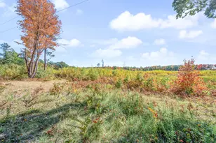 16107 12 Mile Rd, Leroy, MI 49655 - Photo 43