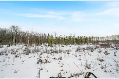 16107 12 Mile Road, Leroy, MI 49655 - Photo 27