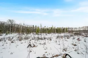 16107 12 Mile Rd, Leroy, MI 49655 - Photo 27